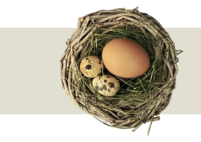 coaching-dellabitare-servizi
