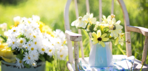 shabby-chic-giardino-home-reload